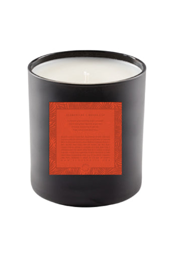 Clementine + Water Lily - 11oz Soy Candle